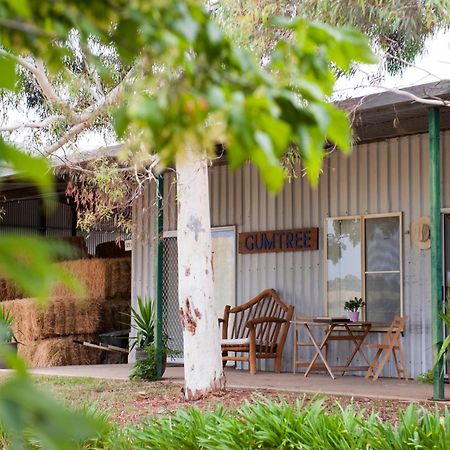 Peppertree Farm Mudgee Villa Kültér fotó